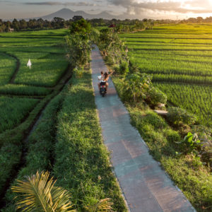 canggu rice fields
