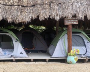 Mapache Hostel Holbox tent